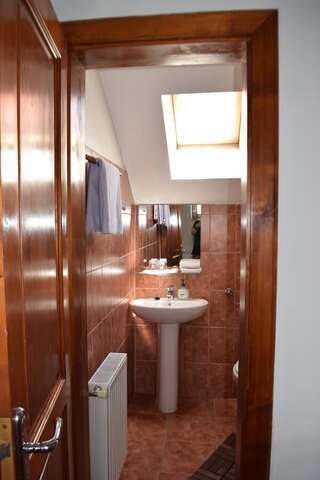 Гостевой дом Pension GreenHouse Сибиу Двухместный номер с 1 кроватью или 2 отдельными кроватями-6