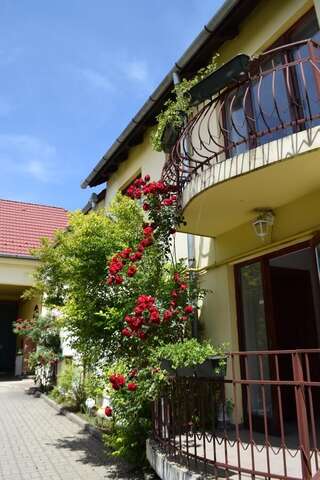 Гостевой дом Pension GreenHouse Сибиу-6