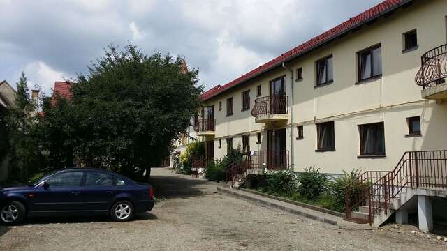 Гостевой дом Pension GreenHouse Сибиу-42