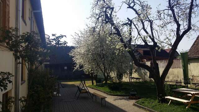 Гостевой дом Pension GreenHouse Сибиу-43